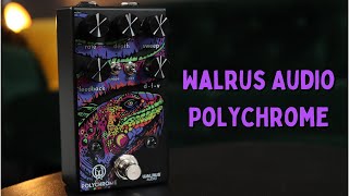 Walrus Audio Polychrome Flanger  DemoReview [upl. by Adieren988]