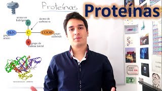 Proteínas y Aminoácidos UN MES DE CLASES EN 10 MINUTOS [upl. by Vita]