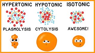 Hypertonic Hypotonic and Isotonic Solutions [upl. by Nicholson881]