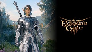 Baldurs Gate 3  The Psionic Warrior Build Request [upl. by Ocsisnarf]