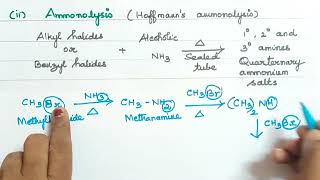 Book Exercise 6iiAmmonolysisExplanation in TamilOrganic Nitrogen Compounds [upl. by Rodablas]