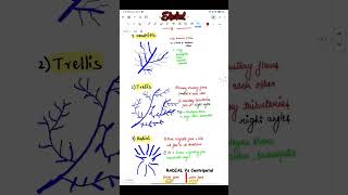 Drainage Pattern of Rivers ytshorts upsc [upl. by Anthony147]