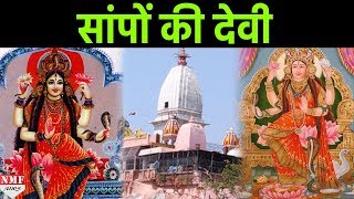 Devi Mansa के दर्शन से पूरी होगी सभी मनोकामनाएं [upl. by Anwahsiek]