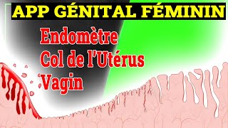 App Génital Féminin 2 Trompes Endomètre Col  Histologie [upl. by Luapnaej]