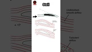 Stalling of Aircraft Explained  Aviation 2304 shorts shortvideo shortsvideo short [upl. by Nollid]