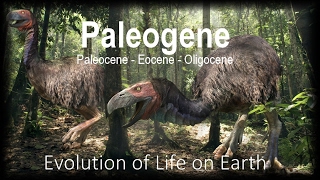 The Evolution of Life part 11  Paleogene [upl. by Ocana792]