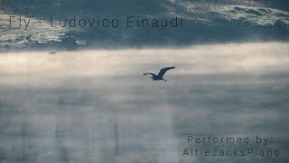 Fly  Ludovico Einaudi Piano Cover [upl. by Clayson241]