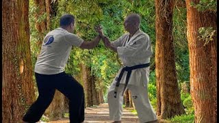 Biomécanique Taikiken et Kyokushin janvier 2023 [upl. by Mays]