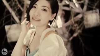 坂本真綾「おかえりなさい」Music Clip [upl. by Uamak]