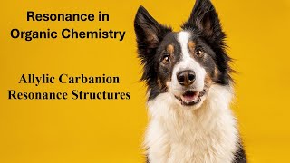 Allylic Carbanion Resonance Structures [upl. by Nohsyt]