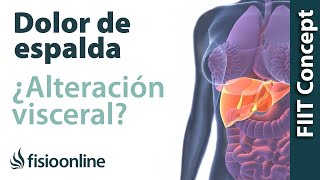 Tratamiento para dolor de espalda cervical y dorsal provocado por una alteración del estómago [upl. by Meave490]