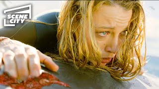 The Shallows First Shark Attack Blake Lively 4K HD Clip [upl. by Kenward]