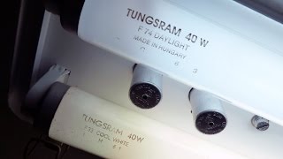 Tungsram  fluorescent tubes T12 40W [upl. by Attalanta873]