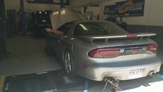 Trans am dyno lq4 tsp 233239 cam [upl. by Mufinella]