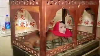 Mumtaz Begum video  Pakistani Half Fox Half Human Mumtaz Mahal Karachi zoo [upl. by Esten]