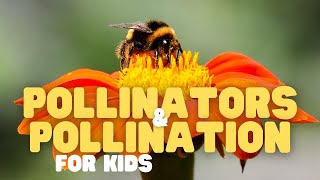 Pollinators and Pollination for Kids  Fun facts about pollination and whos responsible [upl. by Niowtna497]