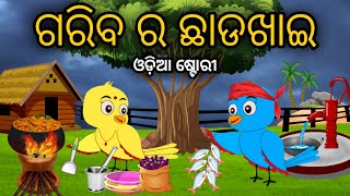 ଗରିବ ର ଛାଡଖାଇ  Chhadakhai  Tiki Chadhei Odia Gapa Odia Bird Story Chadhei gappa Odia Moral story [upl. by Asinet149]