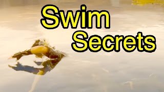 Final Fantasy XV Swimming Secrets FFXV [upl. by Adoh]