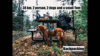 Backpacking 30 km Adventure with 2 dogs and a Small Tent  Hiking [upl. by Bunns]