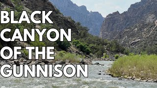 Fly Fishing the Salmonfly Hatch  Black Canyon of the Gunnison  June 2024 [upl. by Ebenezer]