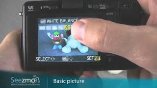 Panasonic GF1 Basic Picture Guide [upl. by Adekam]