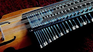 Swedish Bass Nyckelharpa  The Twinkling Star [upl. by Edya41]