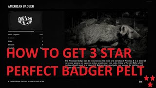 Red Dead Redemption 2 HOW TO GET BADGER PERFECT PELT  5 LOCATIONS [upl. by Adnolay]