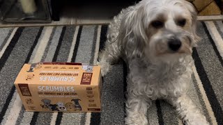 SCRUMBLES GUT FRIENDLY WET DOG FOOD [upl. by Laurent562]