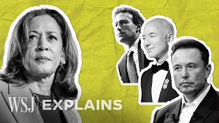 The ‘Billionaire’ Minimum Tax How Harris Could Tax Americas UltraRich  WSJ [upl. by Fasto]