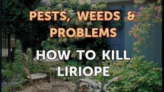 How to Kill Liriope [upl. by Carly]