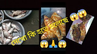 দেখো কতো বড় মাছ আমি একাই খেয়ে ফেলছি😋😋food vlog minivlog [upl. by Pacificas]