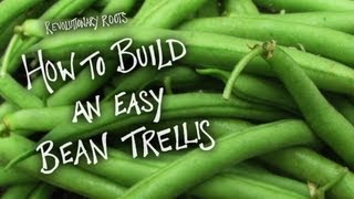 How to Build an Easy Bean Trellis  FarmingGardening Lesson  Revolutionary Roots [upl. by Bast312]