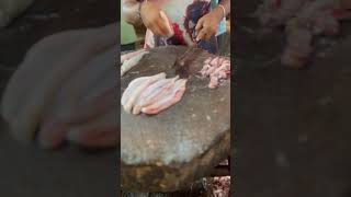 Bombil fish cating ❤️😋 [upl. by Kesley]