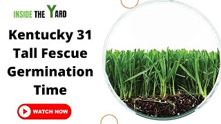 All You Need To Know About Kentucky 31 Tall Fescue Germination Time [upl. by Cohlette]