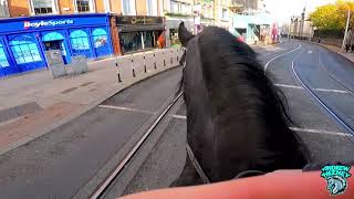 Riding A Friesian Stallion In Dublin City Bumping into Mick The Busker [upl. by Izawa]