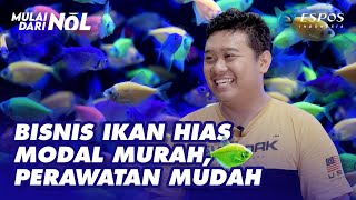 Bisnis Ikan Hias Mulai dari Nol [upl. by Janeczka]