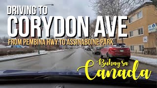 Winnipeg 🇨🇦  Driving to Corydon Avenue Winnipeg Manitoba  Buhay sa Canada [upl. by Jaye821]