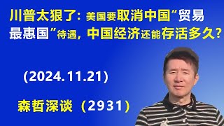 川普太狠了：美国要取消中国“贸易最惠国”待遇，中国经济还能存活多久？ 20241121 《森哲深谈》 [upl. by Ynabe]