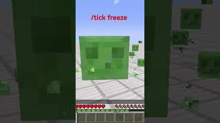 tick freeze minecraft shorts command [upl. by Pollack]