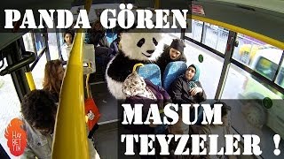 Panda gören masum teyzeler [upl. by Darcia]