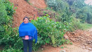 Las Fuertes Lluvias En Oaxaca Provocaron Derrumbes Y Nacimientos De Agua Cerca De La Casa [upl. by Ardin]