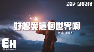 華晨宇  好想愛這個世界啊『曾想過離開 卻又堅持到現在，熬過了那些旁白 那些姿態 那些傷害。』【動態歌詞VietsubPinyin Lyrics】 [upl. by Haldas]