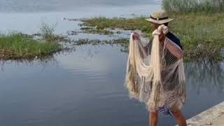 Walking through the rice fields to catch fish in the lake I caught a lot of big fish💯😲🐠 [upl. by Madaras578]