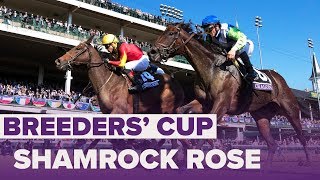 SHAMROCK ROSE wins Filly amp Mare Sprint  Breeders Cup 2018 [upl. by Virgilio]