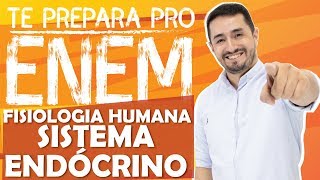 FISIOLOGIA HUMANA  SISTEMA ENDÓCRINO  CANALDOHENAC [upl. by Attehcnoc]