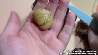 Come sbucciare le Castagne e Marroni in 5 minuti  Video Tutorial How to peel chestnuts [upl. by Alexandrina]