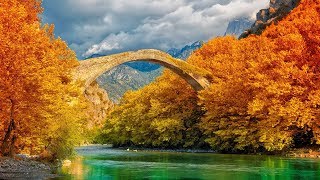 Peaceful Relaxing Instrumental Music Meditation soft Music quotAutumn Forestquot by Tim Janis [upl. by Sonnnie]