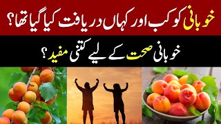 quotThe History and Health Benefits of Apricotsquot [upl. by Ring267]