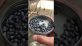 Testing the Heaviest Airgun Pellets [upl. by Ogram516]