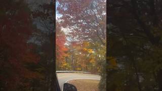 Brasstown bald fallfoliage view fallcolors highestpoint northgeorgia fallfoliage autumnfoliage [upl. by Rus]